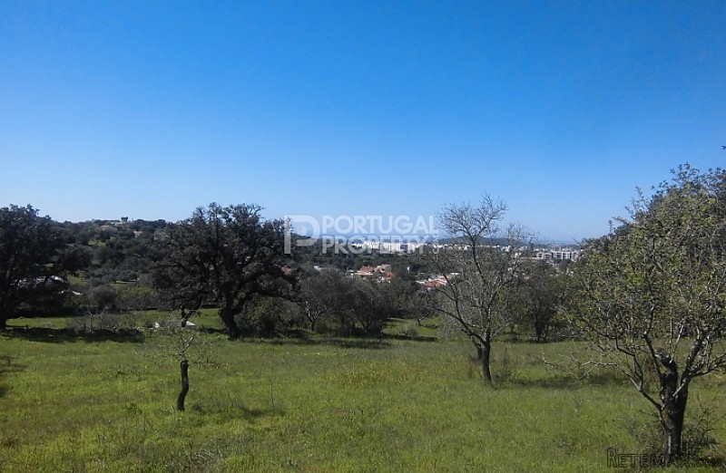 6000m2 Plot In Betunes With Views Of..