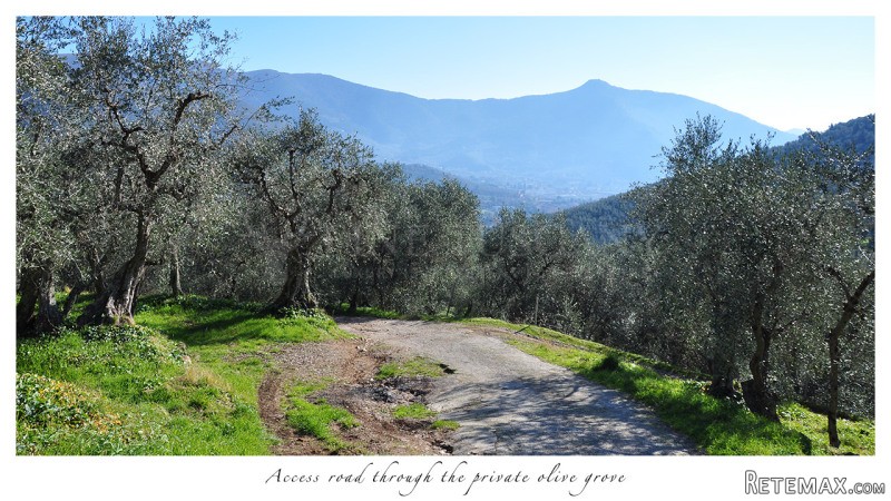Rustic Country House with Olive Grove.. - 2