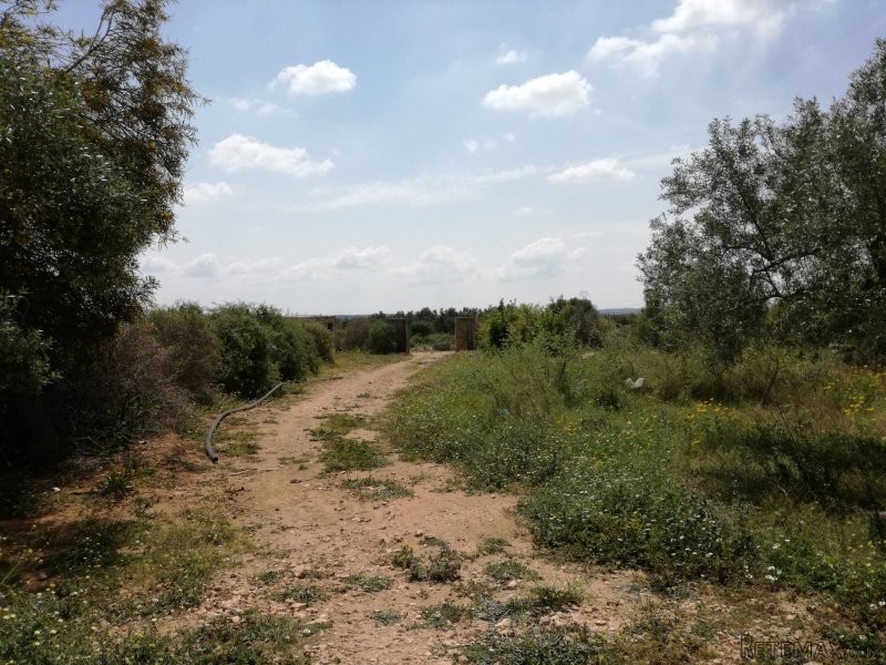 CORPS DE FERME DE 5 HECTARES