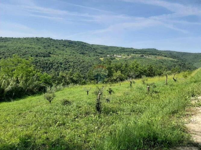 Istra, Motovun građevinsko zemljište - 2
