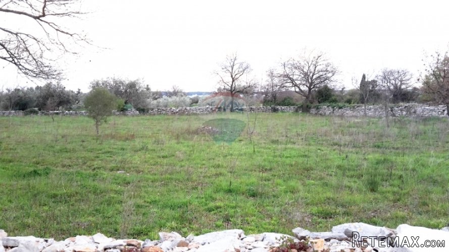 Istra, Peroj atraktivno građevinsko zemljište,650m od mora - 4