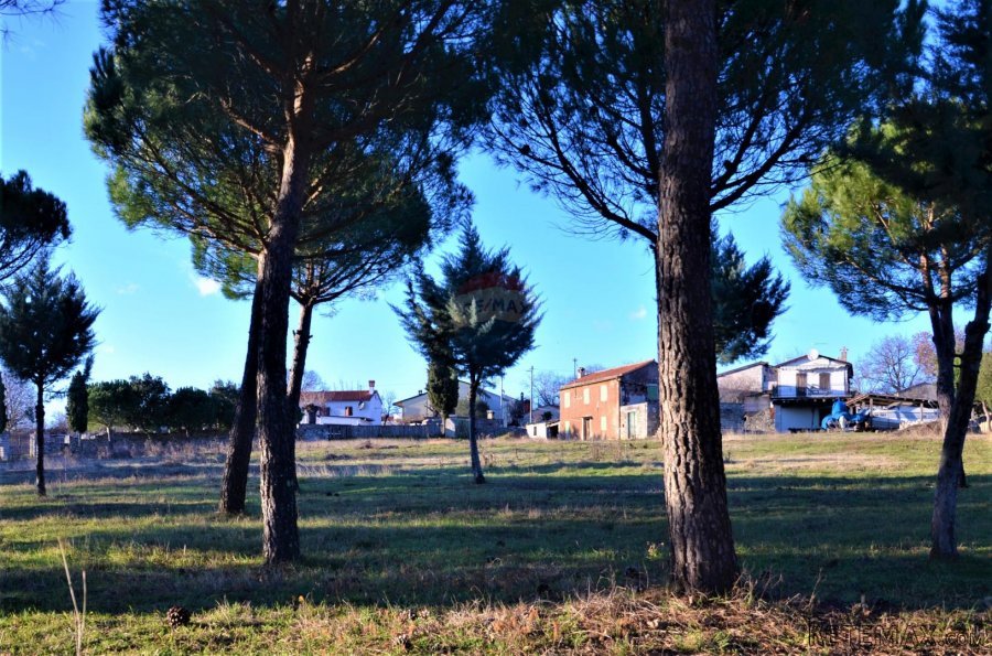 ISTRA, KANFANAR - Kompleks od 2 kuće i 6052 m2 građevinskog - 4