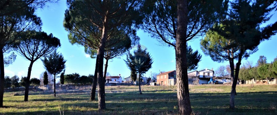 ISTRA, KANFANAR - Kompleks od 2 kuće i 6052 m2 građevinskog - 5