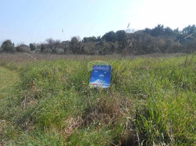 Istra, Ližnjan, 5 poljoprivrednih parcela totalne...