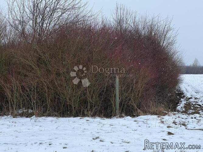 Poljoprivredno zemljište pored Dugog Sela - 2