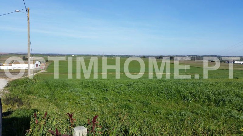 Farm For Sale - Beja