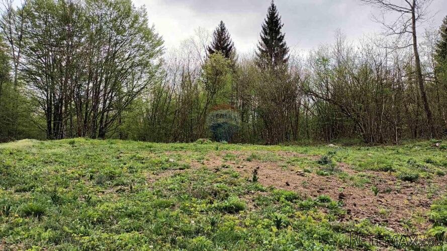 Gorski kotar, Vrbovsko - Prekrasno zemljište okruženo šumom