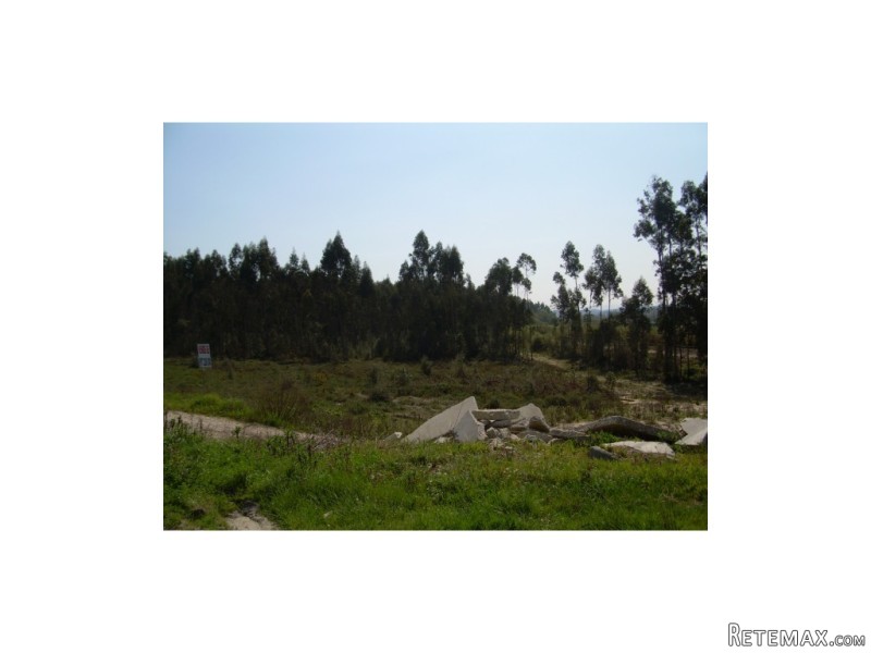 Industrial Land, Leiria - 2