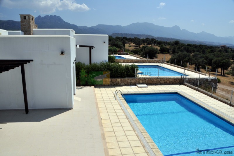 Turtle Beach Bungalows