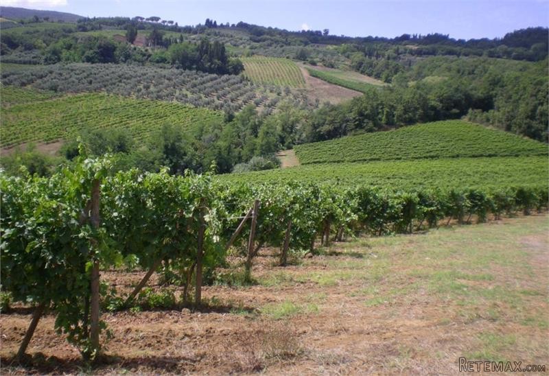 Farm House For Sale: San Gimignano