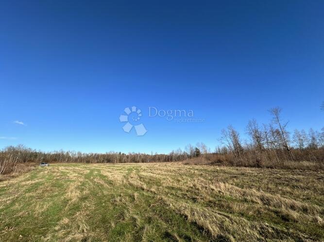 GRAĐRVINSKO ZEMLJIŠTE GOSPIĆ 7299 M2 - 2
