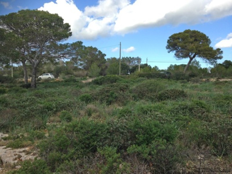 Idyllic Plot With Sea Views - 2