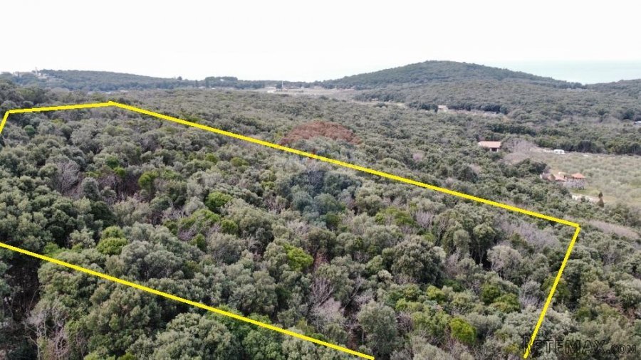 Rovinj,parcela sa otvorenim pogledom na more 4400m2 - 2