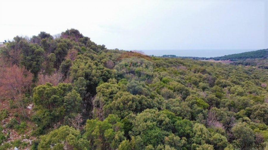 Rovinj,parcela sa otvorenim pogledom na more 4400m2 - 4