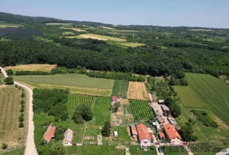 Prodajem zemljiste Krušedol-Irig - 12