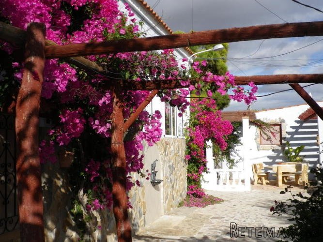 Very charming and completely renovated finca with great.. - 3
