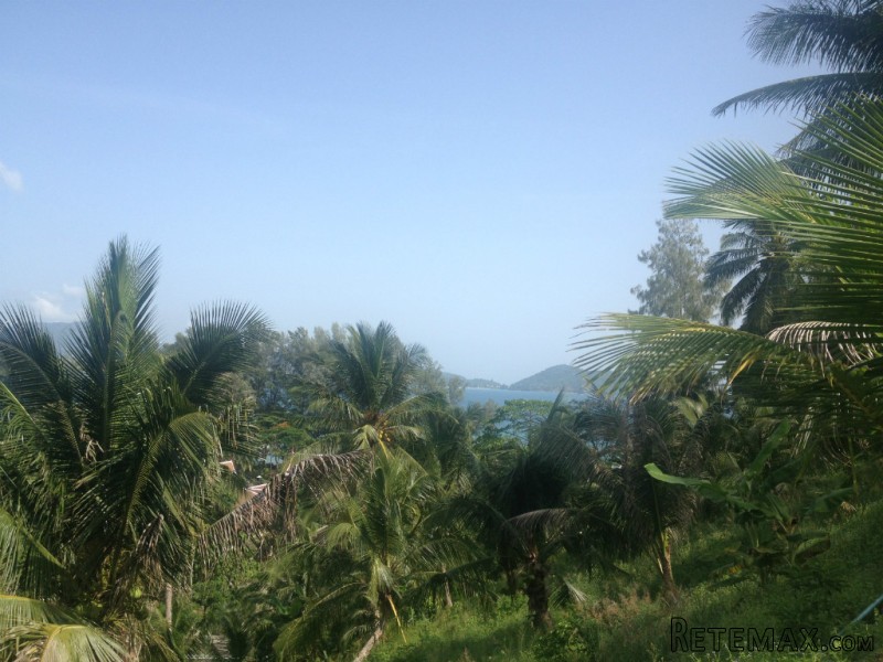 30 Rai Sea View Land on Naka Hill -.. - 2