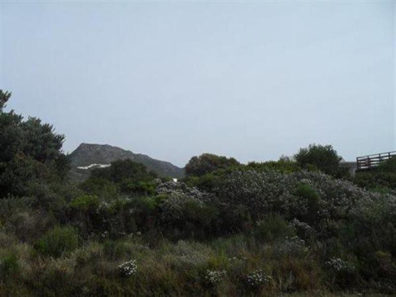 Bettys Bay Vacant Land, Bettys Bay - 2