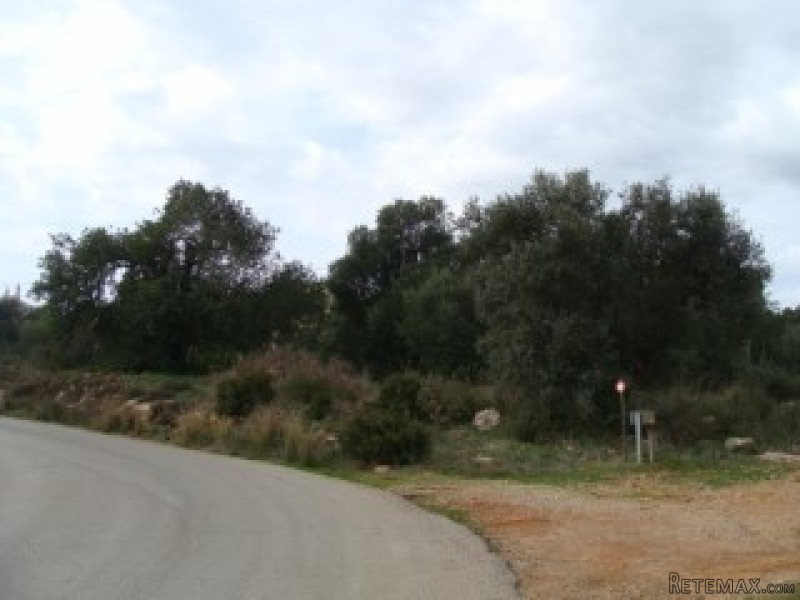 Plot- Alcantarilha- Algarve- Silves-..