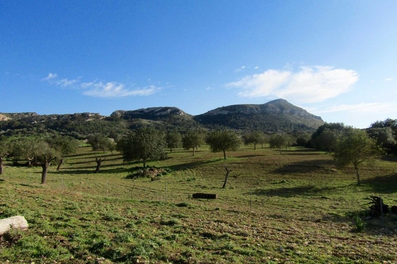 Nice plot with view to the landscape.. - 2