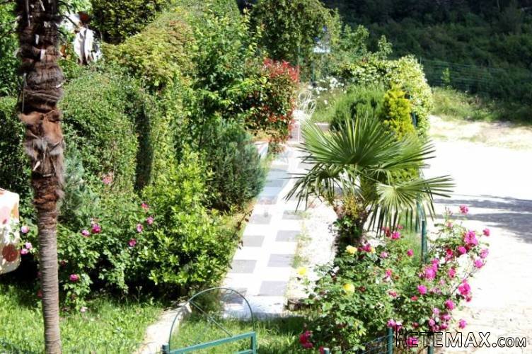 Istra, Buje kuća u starogradskoj jezgri - 2