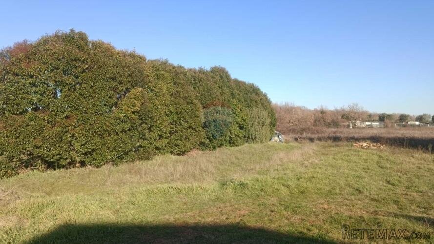 Istra, Poreč - Građevinsko zemljište 4 km od centra grada - 2