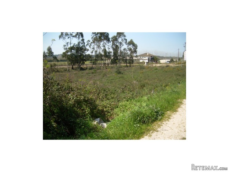 Industrial Land, Leiria