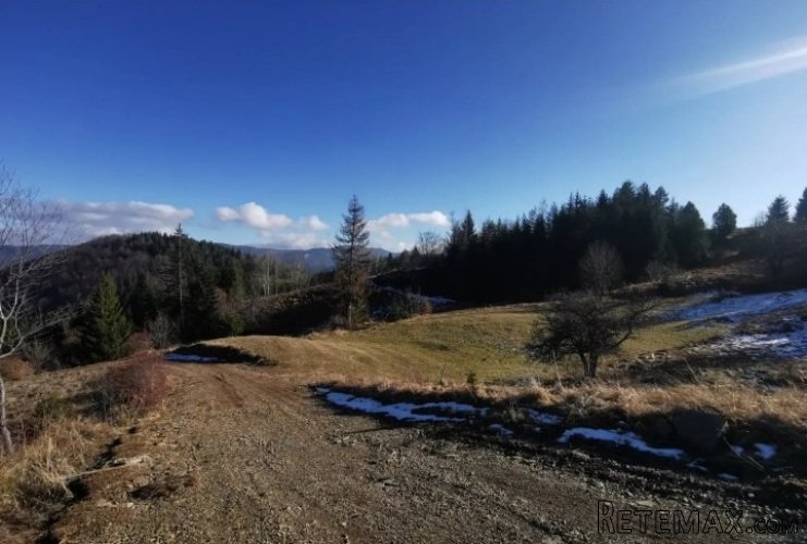 Zaovine/Vasiliči, 44ara - 7