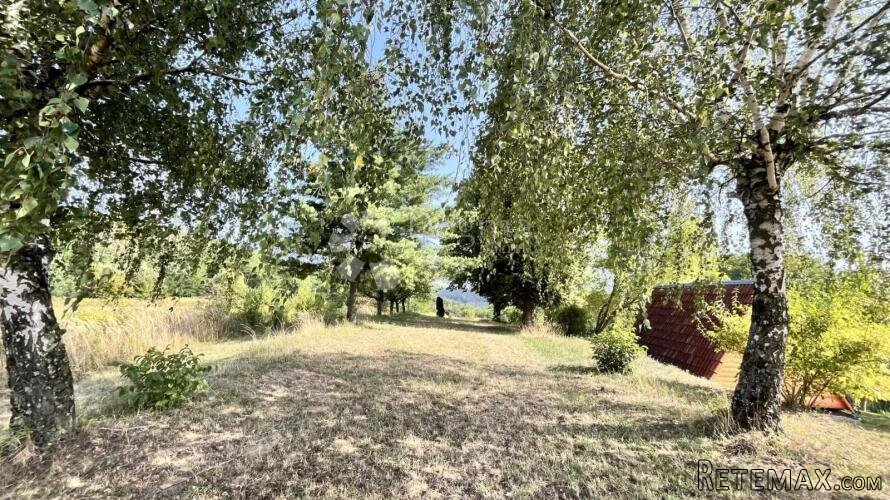 Prodaje se zemljište 2.877 m² s borovima i lipom!