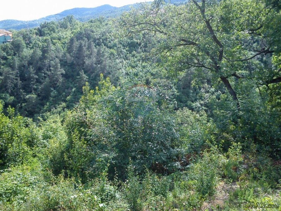 IČIĆI - Građevinski teren od 5.370 m2 - 3