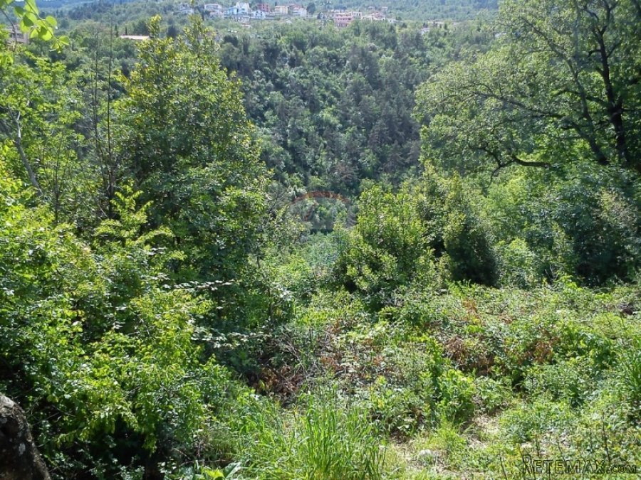 IČIĆI - Građevinski teren od 5.370 m2 - 4