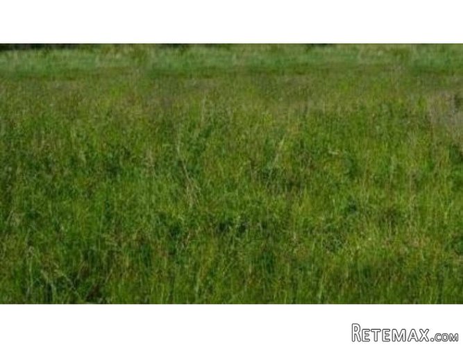Продам участок земли в Палласовском - 2