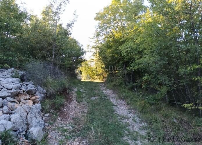 Kastav, šumsko zemljište zanimljive lokacije - 3