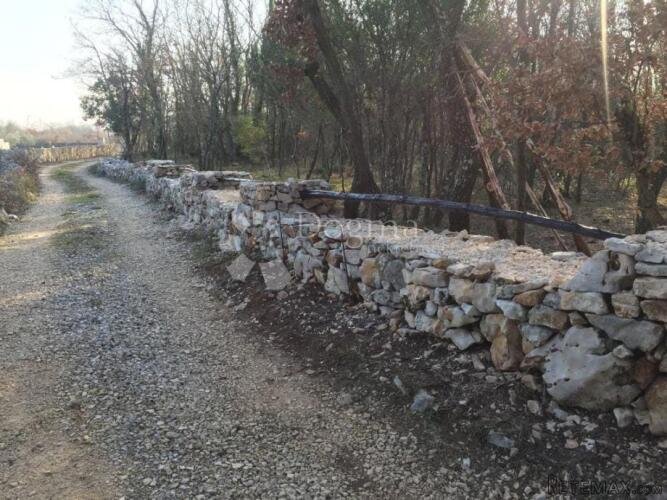 Velika šuma nadomak Rovinja - 3