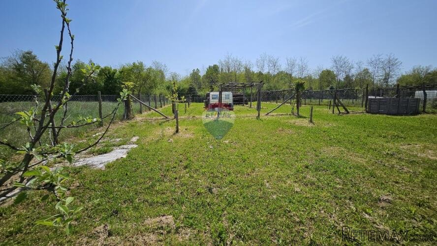 Istra,Umag okolica-uređeno zemljište 1.400 m², 3 km od mora - 2