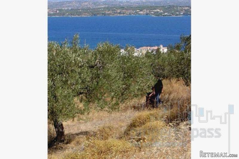 Land For Sale: Spetses, Attica Islands - 2