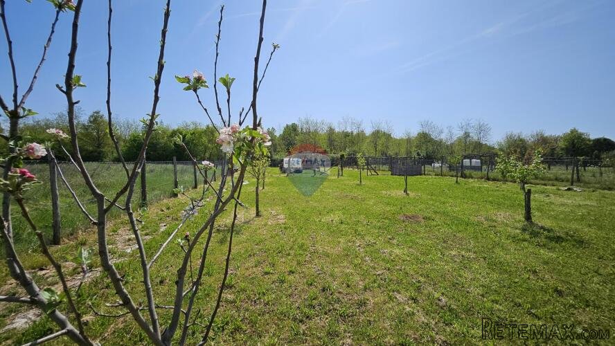 Istra,Umag okolica-uređeno zemljište 1.400 m², 3 km od mora - 3
