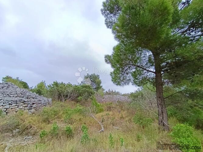 POLJOPRIVREDNO ZEMLJIŠTE ZUBATNJI RATANAC, MILNA - 3
