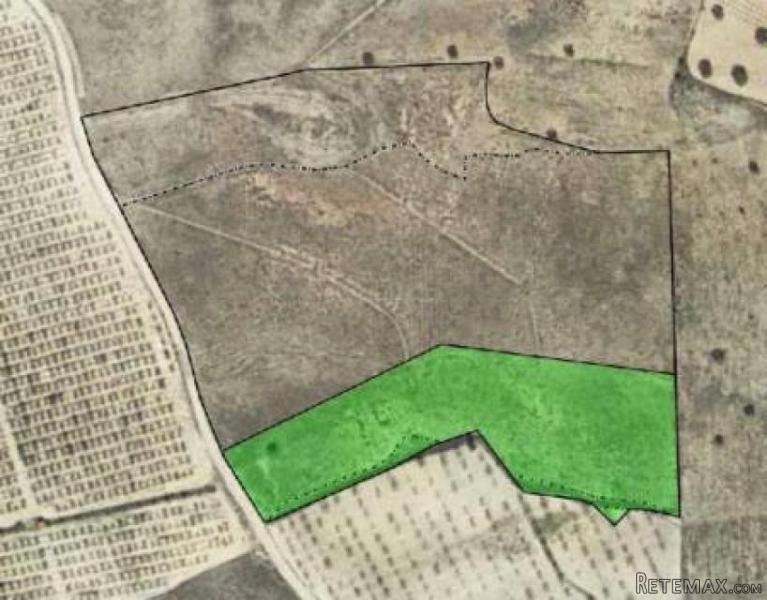 Building land for sale in Sax (Ref...