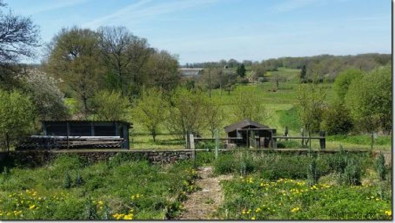 Country House with Outbuilding and Over.. - 2