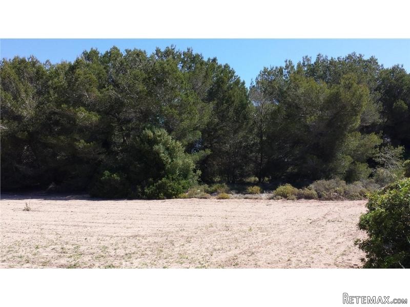 Land New Construction For Sale In.. - 2
