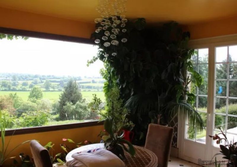 Stunning House with Panoramic View - 2