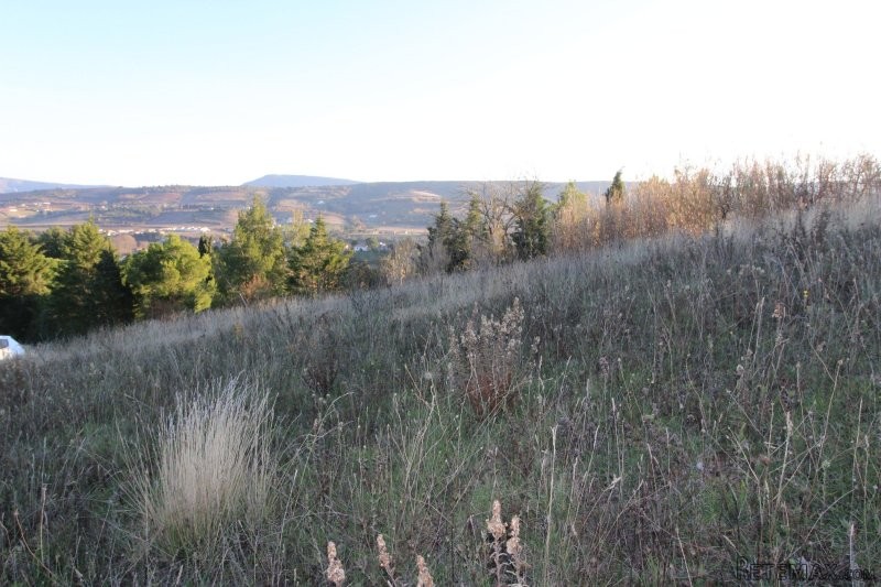 Villa - Languedoc-Roussillon - For Sale