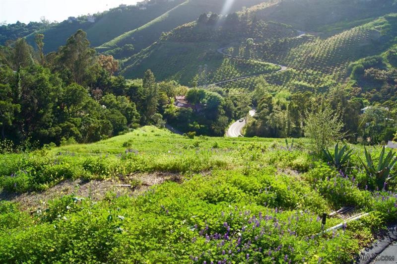 Land For Sale: 557 Sycamore Vista Rd - 2