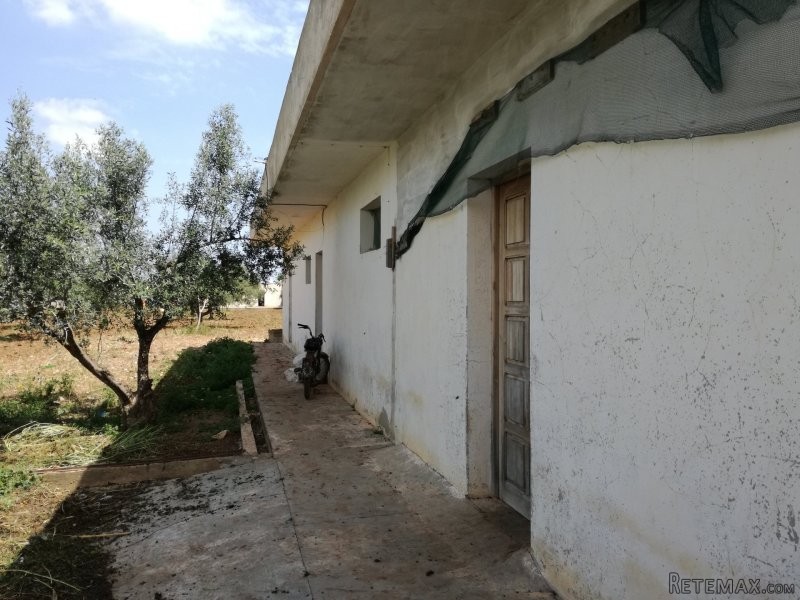 CORPS DE FERME DE 5 HECTARES - 2