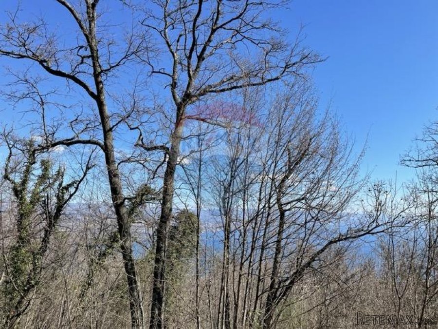 OPATIJA, VEPRINAC-građevinsko zemljište 12075 m2 - 3