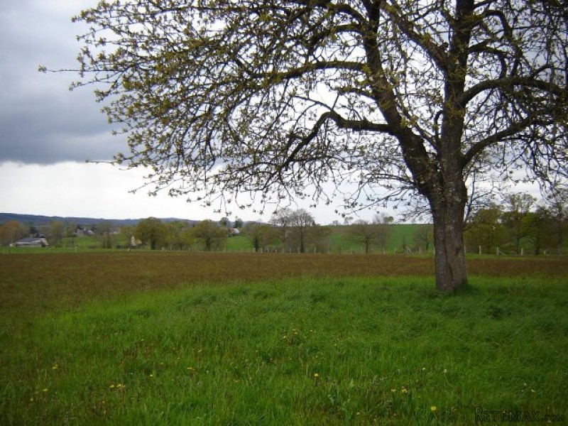 5 Bedrooms - House - Basse-Normandie -.. - 2