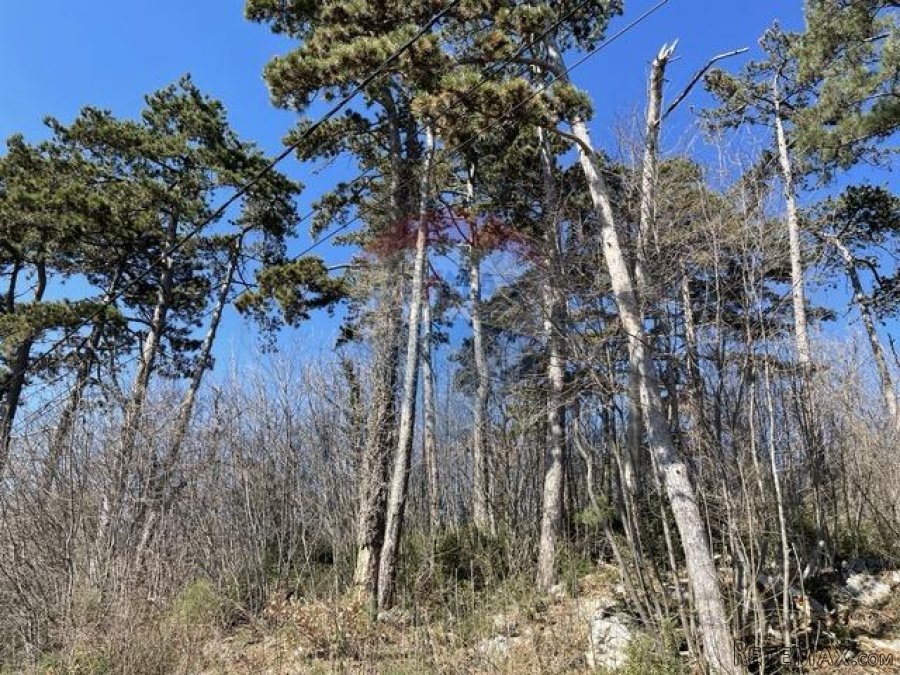 OPATIJA, VEPRINAC-građevinsko zemljište 3978 m2 - 2