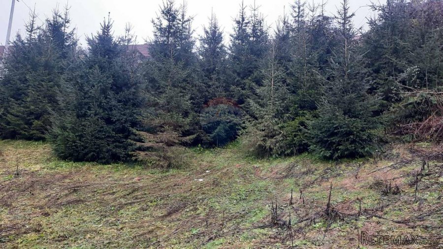 Gorski Kotar - Senjsko - građevinski teren - 3