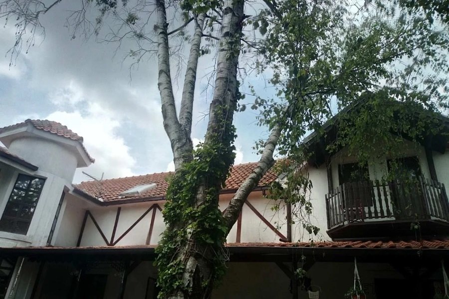 Kuca na prodaju Beograd-Surcin - 14